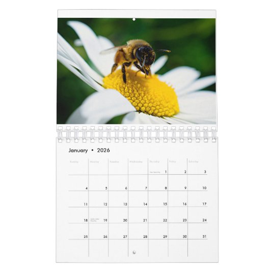 White daisy family photo for grandparents Calendar Kalender (Jan 2026)