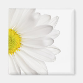 White Daisy Flower Background Gepersonaliseerd Dai Magneet
