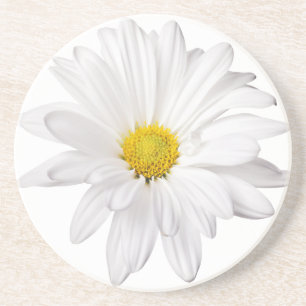 White Daisy Flower Background Gepersonaliseerd Dai Zandsteen Onderzetter