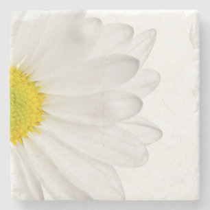 White Daisy Flower Floral Daisies Flowers Stenen Onderzetter