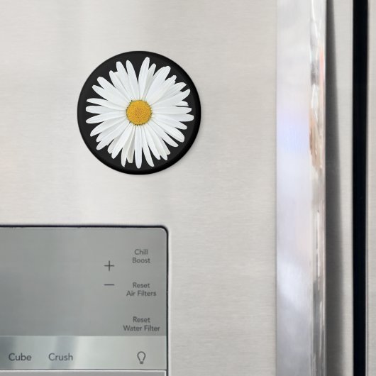 White Daisy Flower on Black Floral Magneet (Insitu (Koelkast))