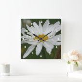 White Daisy Flower with Raindrops Natuur Vierkante Klok (Huis)