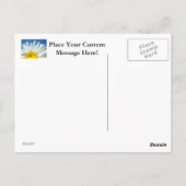 White Daisy Flowers Garden briefkaarten Blue Sky (Achterkant)
