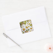 White Daisy Flowers - Schilder Art Sticker (Envelop)