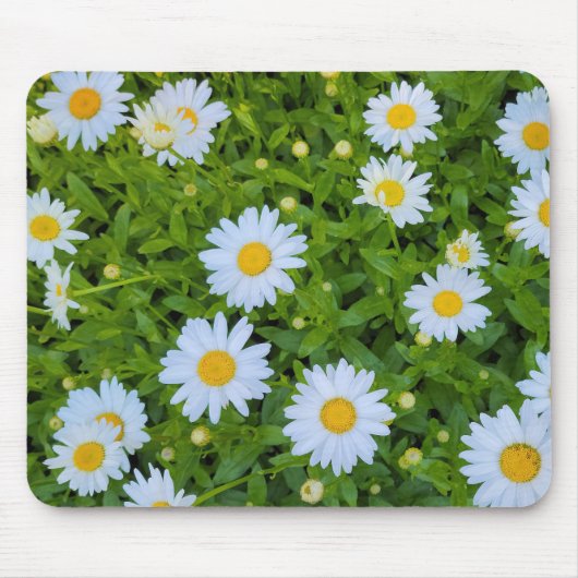 White Daisy Garden Muismat (Voorkant)