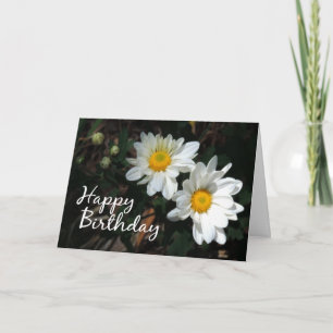 White Daisy Happy Birthday Scripting Kaart