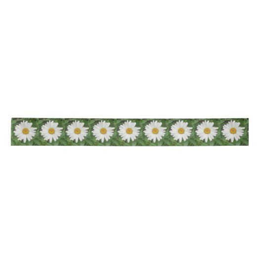 White Daisy Lint (Voorkant)