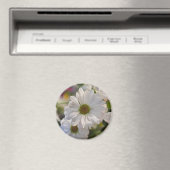White Daisy Magnet (In Situ (Lave-vaisselle))