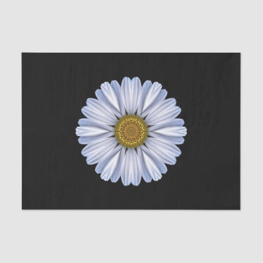White Daisy on Black Background Tissue Paper Tissuepapier (Voorkant)