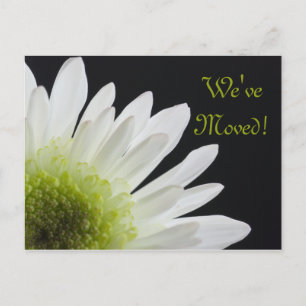 White Daisy on Black Change of Address Aankondigingskaart