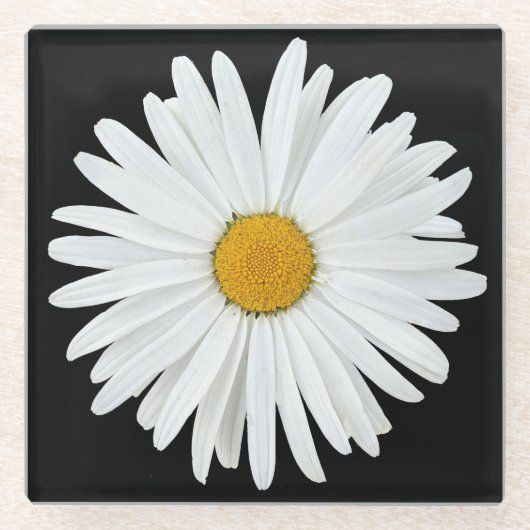 White Daisy on Black Floral Glazen Onderzetter (Voorkant)
