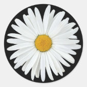 White Daisy on Black Floral Ronde Sticker (Voorkant)