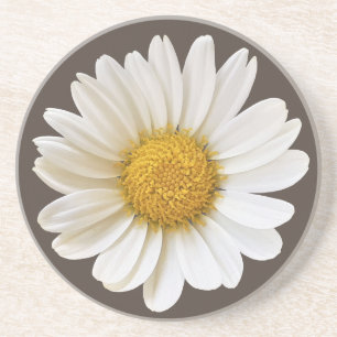 White Daisy on Dark Brown Background Floral Zandsteen Onderzetter