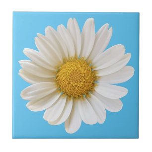 White Daisy on Sky Blue Background Tegeltje
