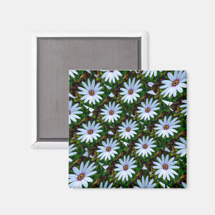 White Daisy Pattern Magneet