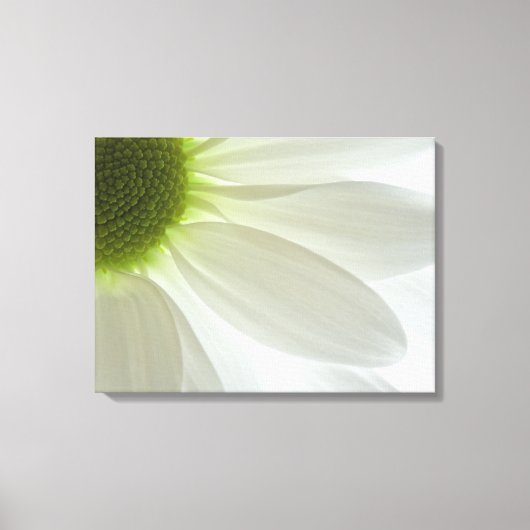 White Daisy Petals Canvas Afdruk (Voorkant)