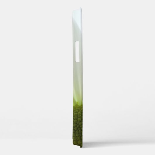 White Daisy Petals Case-Mate iPhone Case (Achterkant / Rechts)