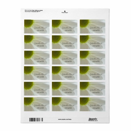 White Daisy Petals Wedding for Label (Full Sheet)