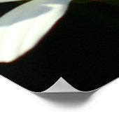 White Daisy Poster (Coin)