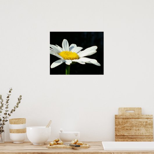 White Daisy Poster (Cuisine)