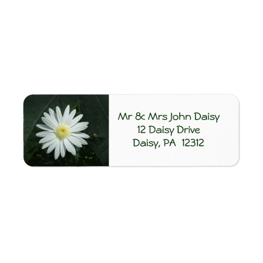 White Daisy Return-adreslabel Etiket (Voorkant)