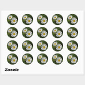 White Daisy Ronde Sticker (Vel)