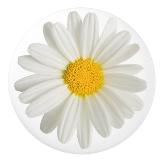 White Daisy Round Ceramic Drawer Pull Knobs Keramische Knop (Voorkant)
