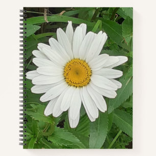 White Daisy Spiral Notitieboek