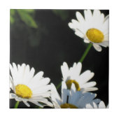 White Daisy Tegeltje (Voorkant)