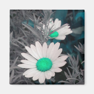White Daisy (w Green) magnet Magneet
