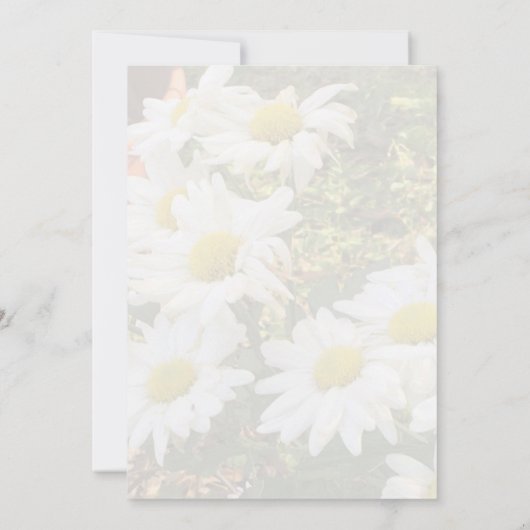 White Daisy Yellow Gold Script BoHo Spring Wedding Kaart (Achterkant)