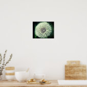 White Dandelion Fluff Sluiten Poster (Keuken)