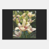 White Daylilies Inpakpapier Vel (Voorkant)