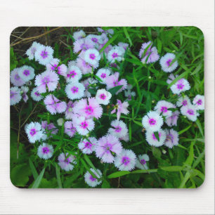 White Dianthus Flower Mousepad Muismat