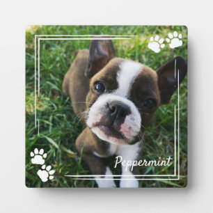 White Dog Paw Print Lijst Dog Foto & Name Fotoplaat