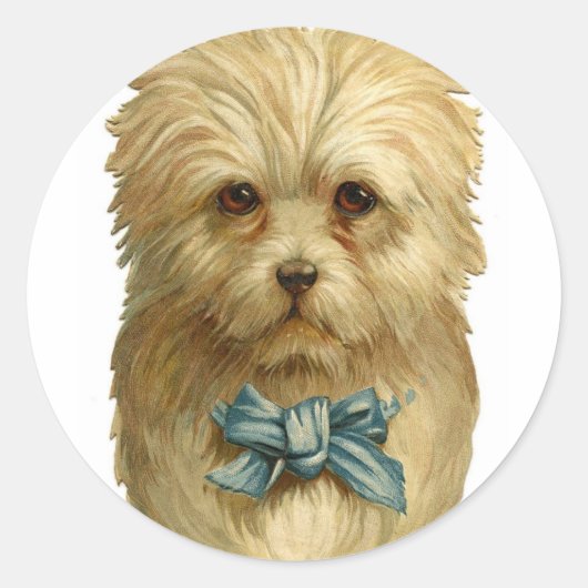 White Dog Stickers (Voorkant)