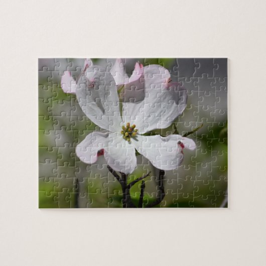 White Dogwood Flower Legpuzzel (Horizontaal)