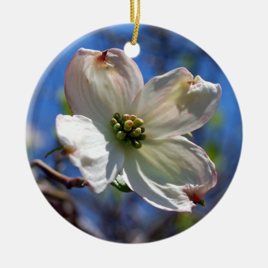 White Dogwood Flower ornament (Voorkant)