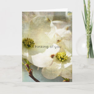 White Dogwood Flowers Denken aan jou Kaart