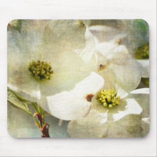 White Dogwood Flowers Muismat