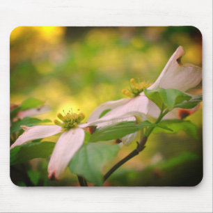 White Dogwood Flowers Muismat