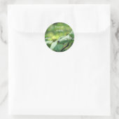 White Dogwood Flowers Personalized Ronde Sticker (Tas)