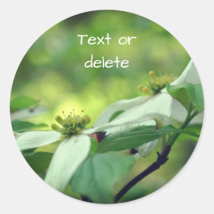 White Dogwood Flowers Personalized Ronde Sticker