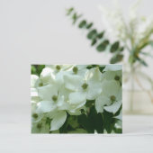 White Dogwood Spring Flowers Briefkaart (Staand voorkant)
