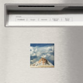 White Dome Magnet Magneet (Insitu (Vaatwasser))