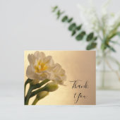 White Double Daffodils Bedankt Briefkaart (Staand voorkant)