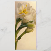 White Double Daffodils Spring Wedding Programme Programma (Voorkant)