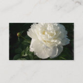 White Double Peony Visitekaartje (Achterkant)