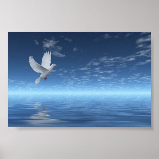 White Dove Poster (Voorkant)
