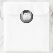 WHITE DOVES BIJ HET VENSTER zwart-wit Ronde Sticker (Tas)